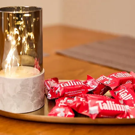 公寓 Unique In Centre 塔林